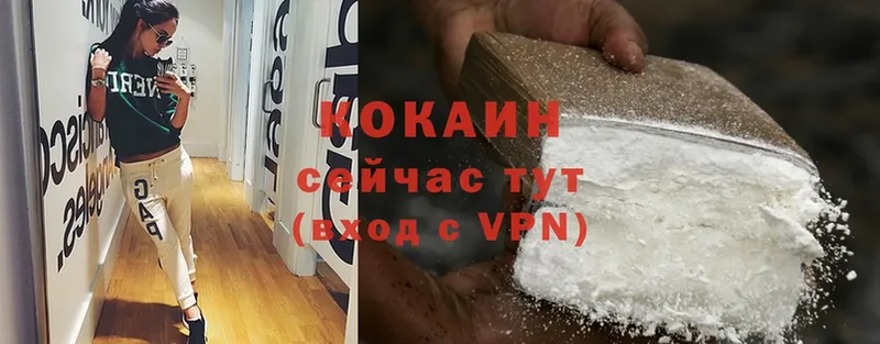 магазин    площадка клад  COCAIN FishScale  Ершов 